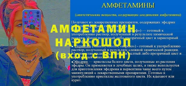 прущие грибы Покров