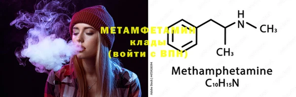 прущие грибы Покров