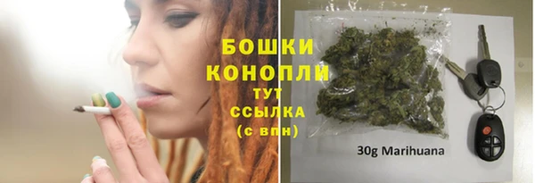 прущие грибы Покров