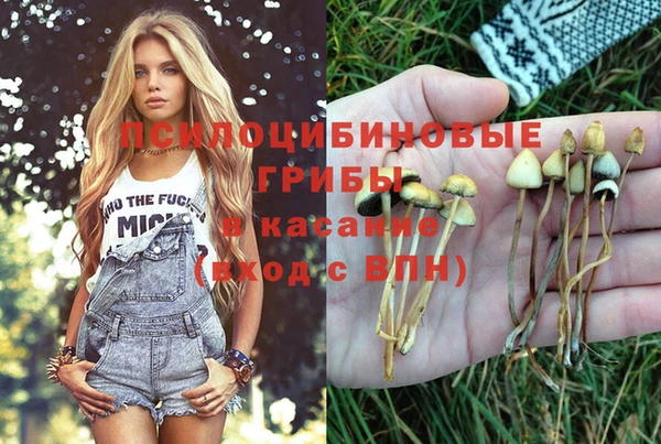 марки lsd Покровск