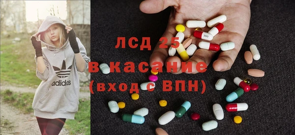прущие грибы Покров