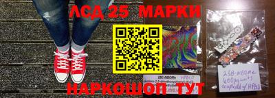 ECSTASY Гай