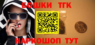 a pvp Гатчина