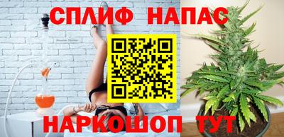 ECSTASY Гай