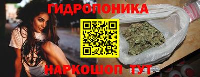 a pvp Гатчина