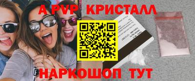 ECSTASY Гай