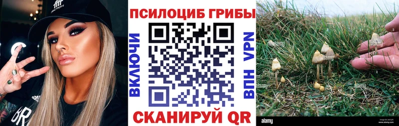 Псилоцибиновые грибы мухоморы  Чистополь 