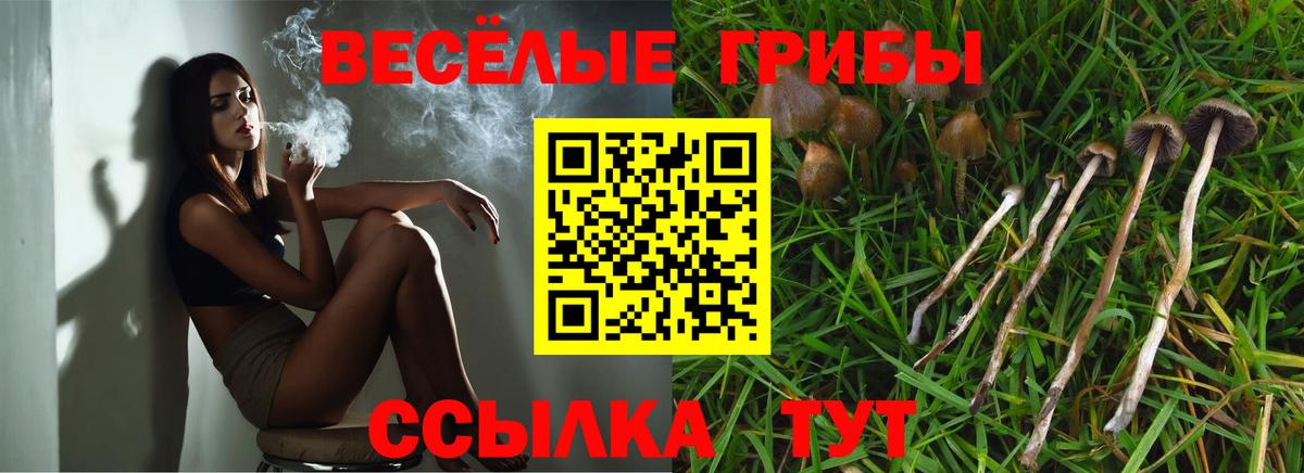 Галлюциногенные грибы мухоморы Чистополь