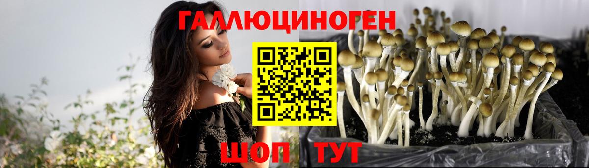 Псилоцибиновые грибы Cubensis  Вход с VPN  Чистополь 